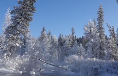 홉스골 차탕민족 자르간트강 6박7일