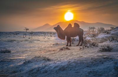 중부투어 4박 5일