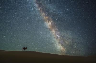 고비 테를지 5박6일